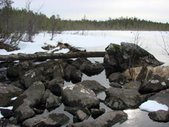 Paikoittain Haukijoen onnistuu ylittää jääkautisilla kivillä